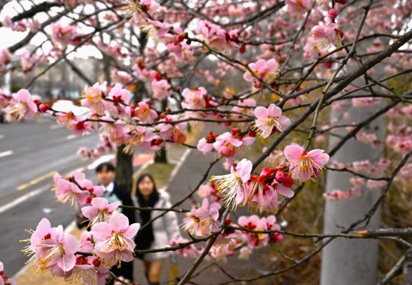 2024022801000837300033761