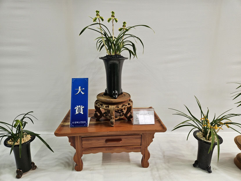 문경서 2024 경북 蘭 대전 임종훈씨 복륜화 大賞 영예