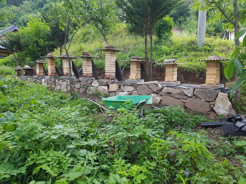 영양군 토종꿀 명품 인증…품질도 안전성도 합격