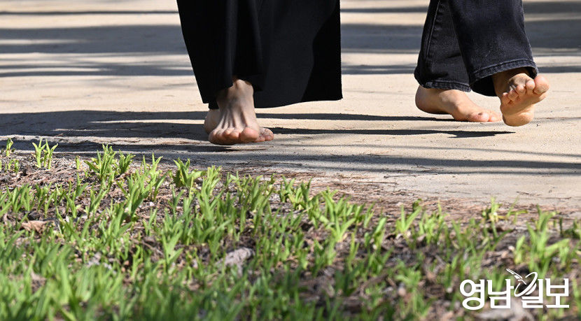 [포토뉴스] 가벼워진 산책…오늘 대구 낮 최고 20℃