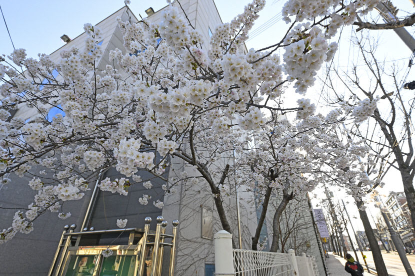 2024032201000735700030621