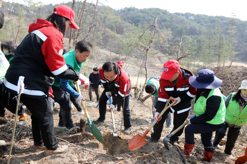산불 피해 딛고 더 푸르게 잘 자라렴