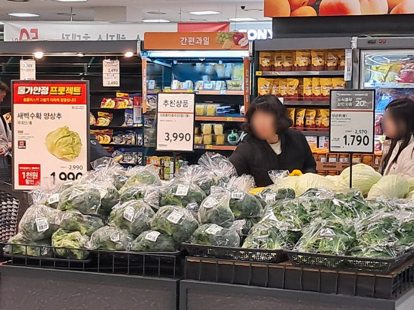 대파1