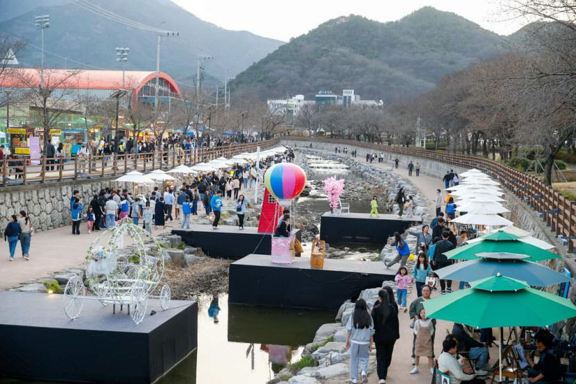 벚꽃 없는 구미 벚꽃 축제...시민 관광객은 북적