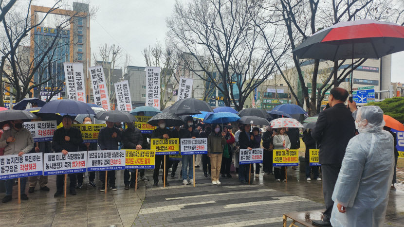 비닐하우스 당장 철거해야…미나리 불법영업 갈등 격화