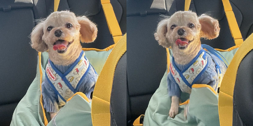 딩