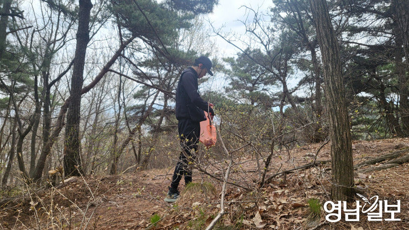1년 만에 같은 장소 플로깅…쓰레기 주우러 갔는데 쓰레기가 없다