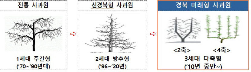사과 가격 안정 나선 정부…경북 미래형사과원 대안으로 제시