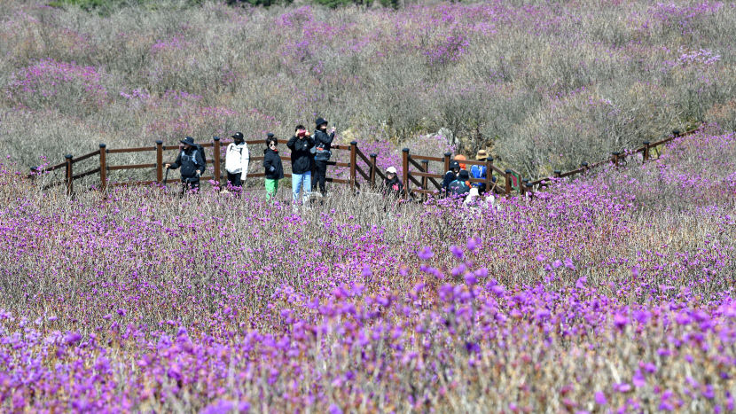 2024040501000218200008611