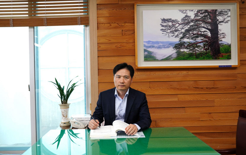 조선시대엔 소나무 베면 곤장 100대 중형...지금도 특별한 관리 필요