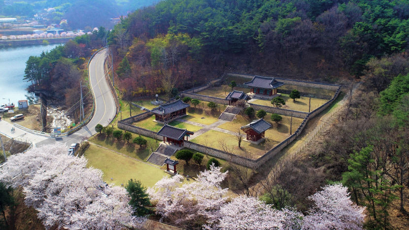 [칠곡 가볼만한 곳] 칠곡 남계리 소나무 숲서 일상 속 피톤치드 힐링