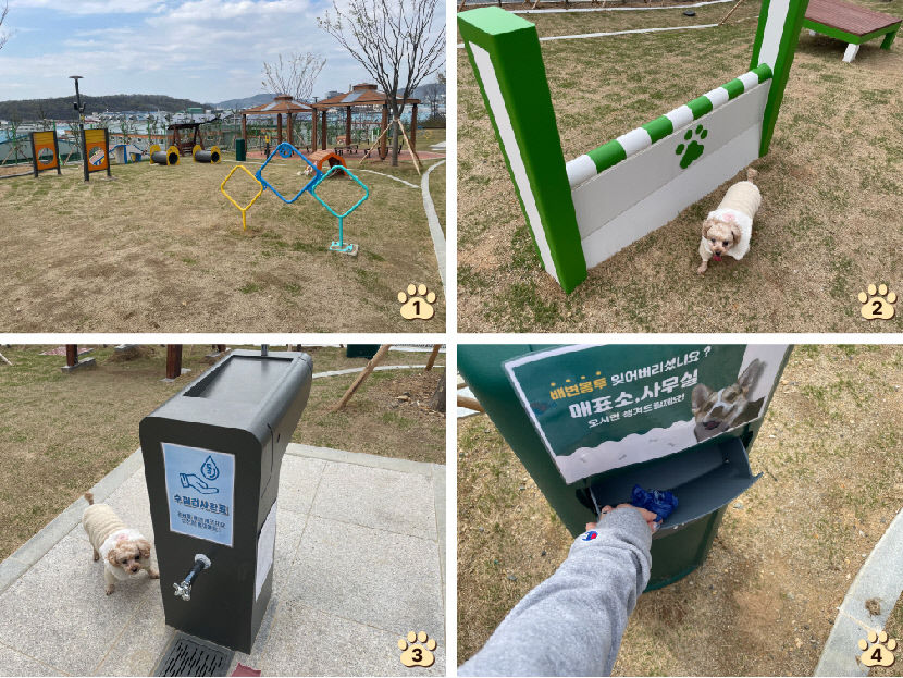 ①내부 전경   ②어질리티 기구   ③음수대   ④배변 봉투 수거함