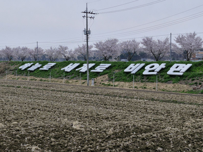 [르포] 화물터미널도 없으면 의성엔 軍공항 소음만 남는다