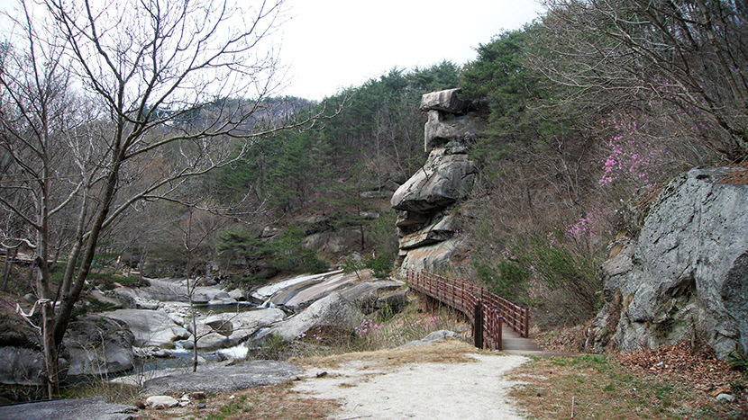[주말&여행] 경남 거창 봄의 계곡…속삭이는 물소리 춤추는 수양버들 봄의 왈츠