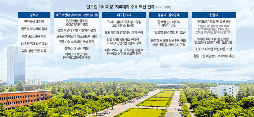 경북대 연구중심 전환 대구한의대 전략산업 융합 통했다