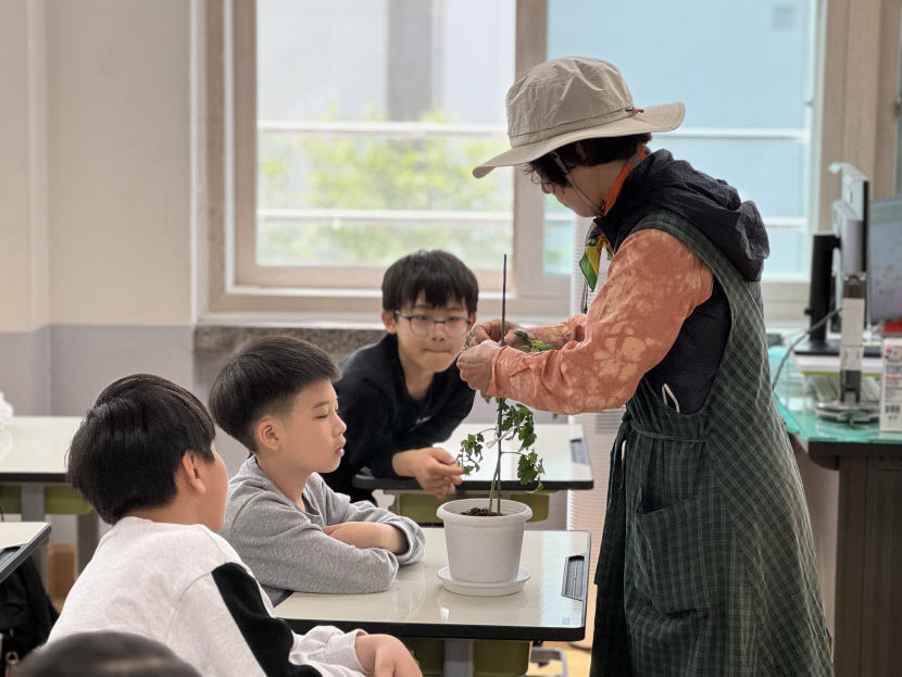 토마토 다 자라면 부모님 드릴 거에요 감탄연발 흥미유발 초등생 도시농업 교육