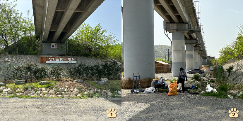 산책하기도 뛰놀기도 좋은 정원…반려견 샤워장도 매력적