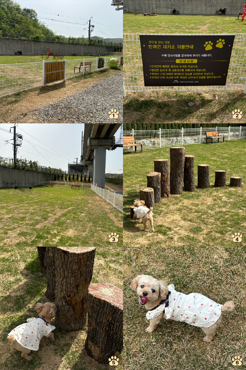산책하기도 뛰놀기도 좋은 정원…반려견 샤워장도 매력적