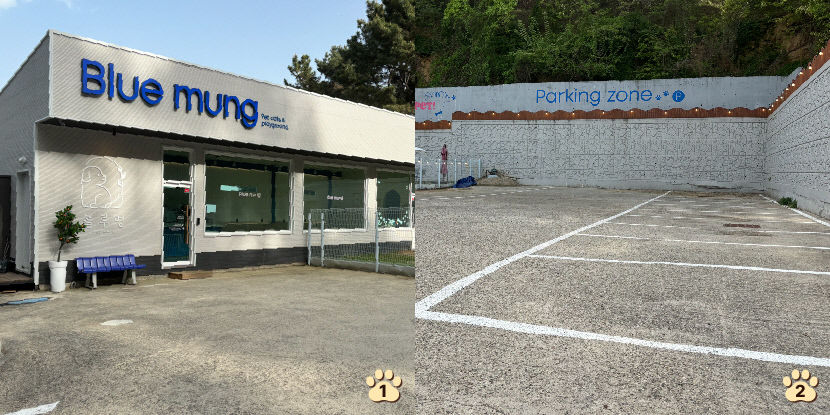 산책하기도 뛰놀기도 좋은 정원…반려견 샤워장도 매력적