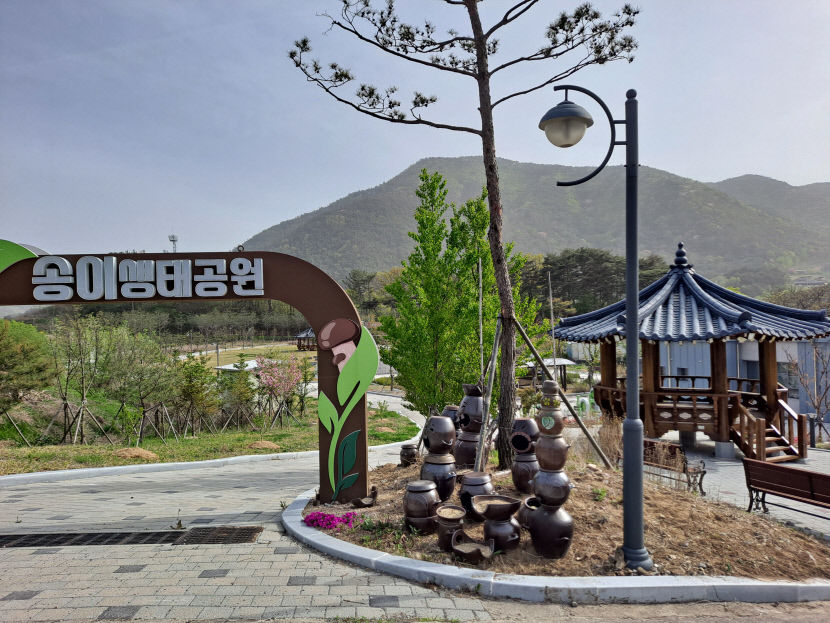 체리마을 된 영덕 신안리