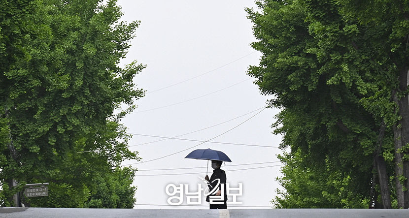 [포토뉴스] 봄비에 짙어가는 녹음
