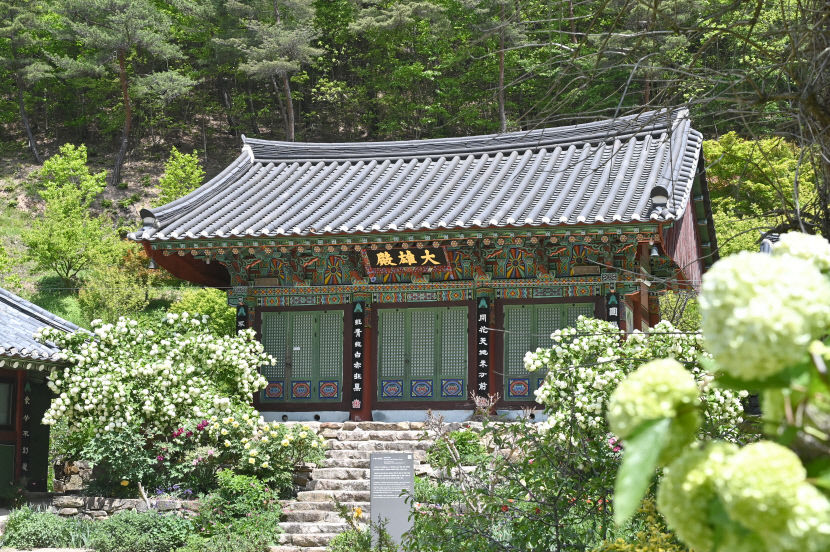 [부처님 오신 날] 청송 수정사, 고려 말 세워진 비봉산 천혜의 요새