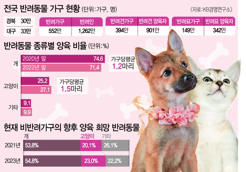 고양이 집사들도 오세요…대구 펫&캣쇼 10~12일 개최