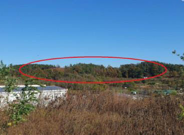 [공매 정보] 경북 성주군 선남면 소학리 388-3 외 4필지