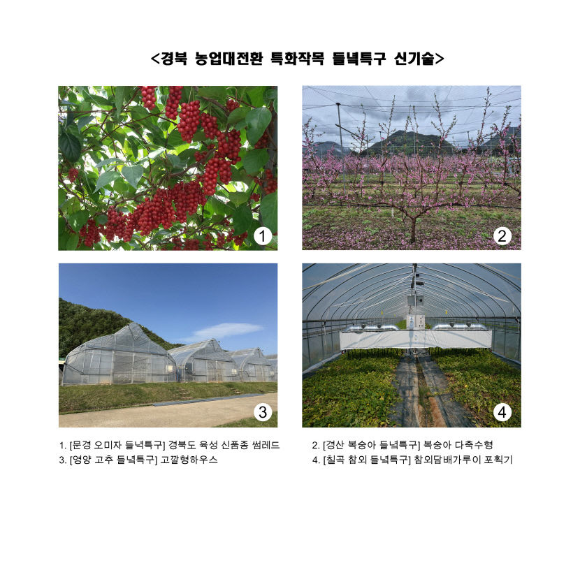 문경· 경산·영양·칠곡, 경북도 들녘특구 프로젝트 합류