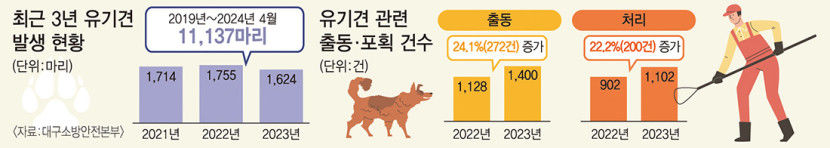 잃어버린 양심, 인간을 위협한다…대구 도심 곳곳에 들개 된 유기견 출몰