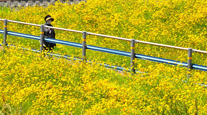 2024052401000813600034371