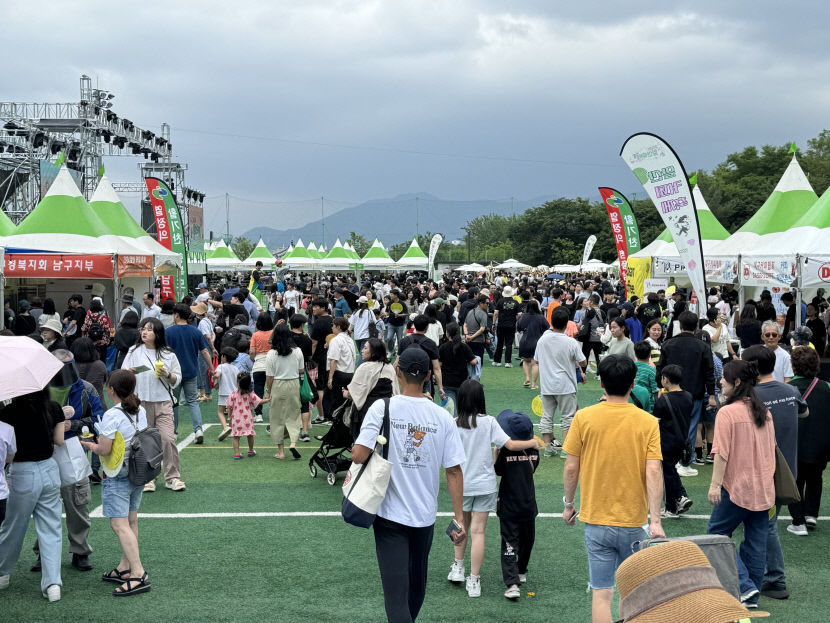 각양각색 커피와 체험활동 대구 앞산 축제 현장 속으로