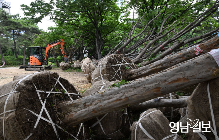[포토뉴스] 2·28 기념중앙공원 리뉴얼공사 작업하는 관계자들