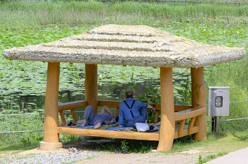 2024053101001039800044221