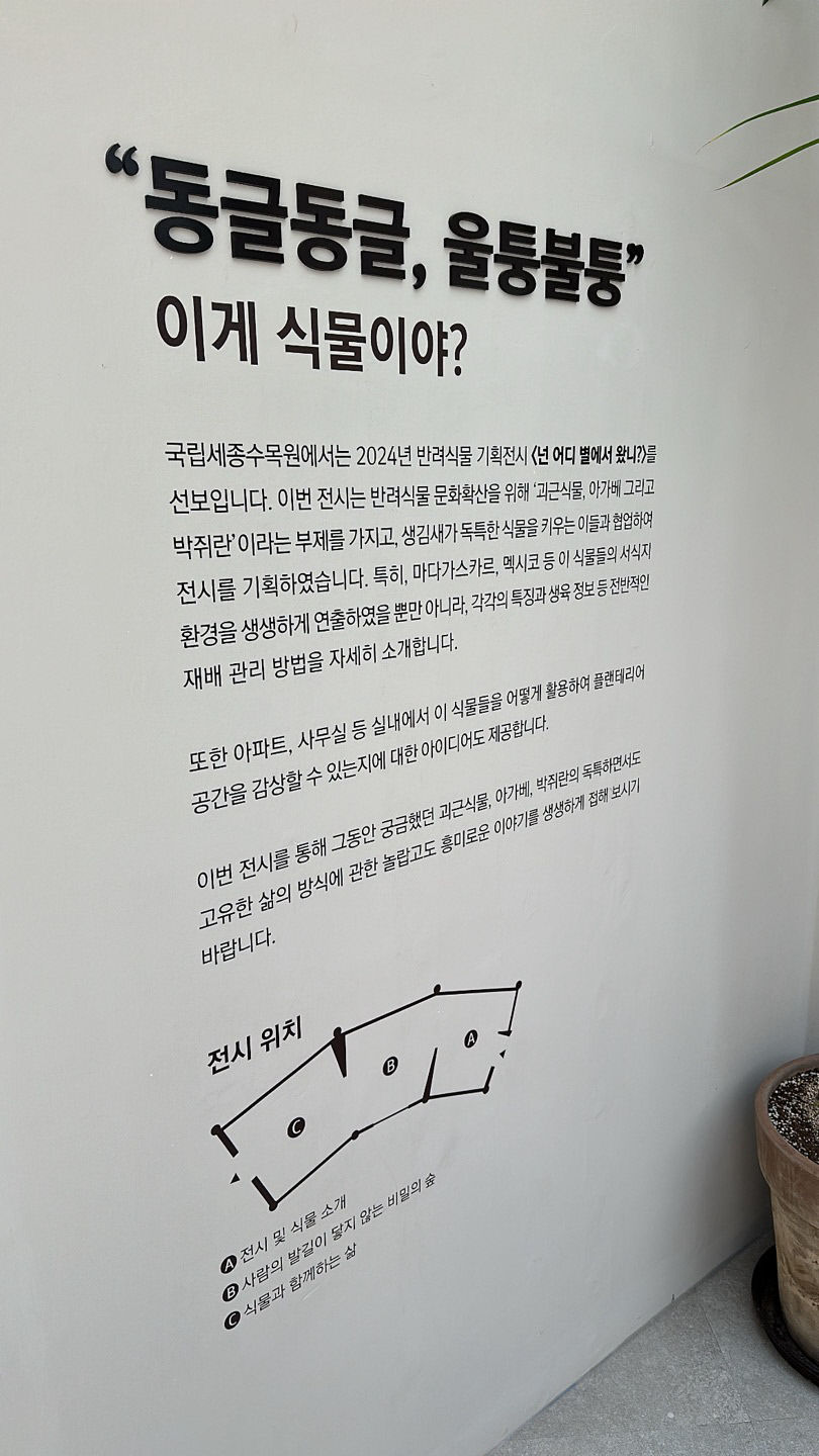 식집사들의 열광! 넌 어느 별에서 왔니? 아프리카 식물 전시 화제