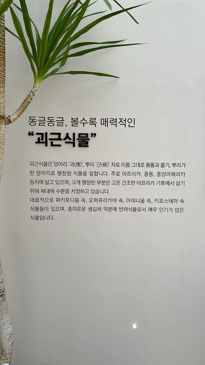 식집사들의 열광! 넌 어느 별에서 왔니? 아프리카 식물 전시 화제