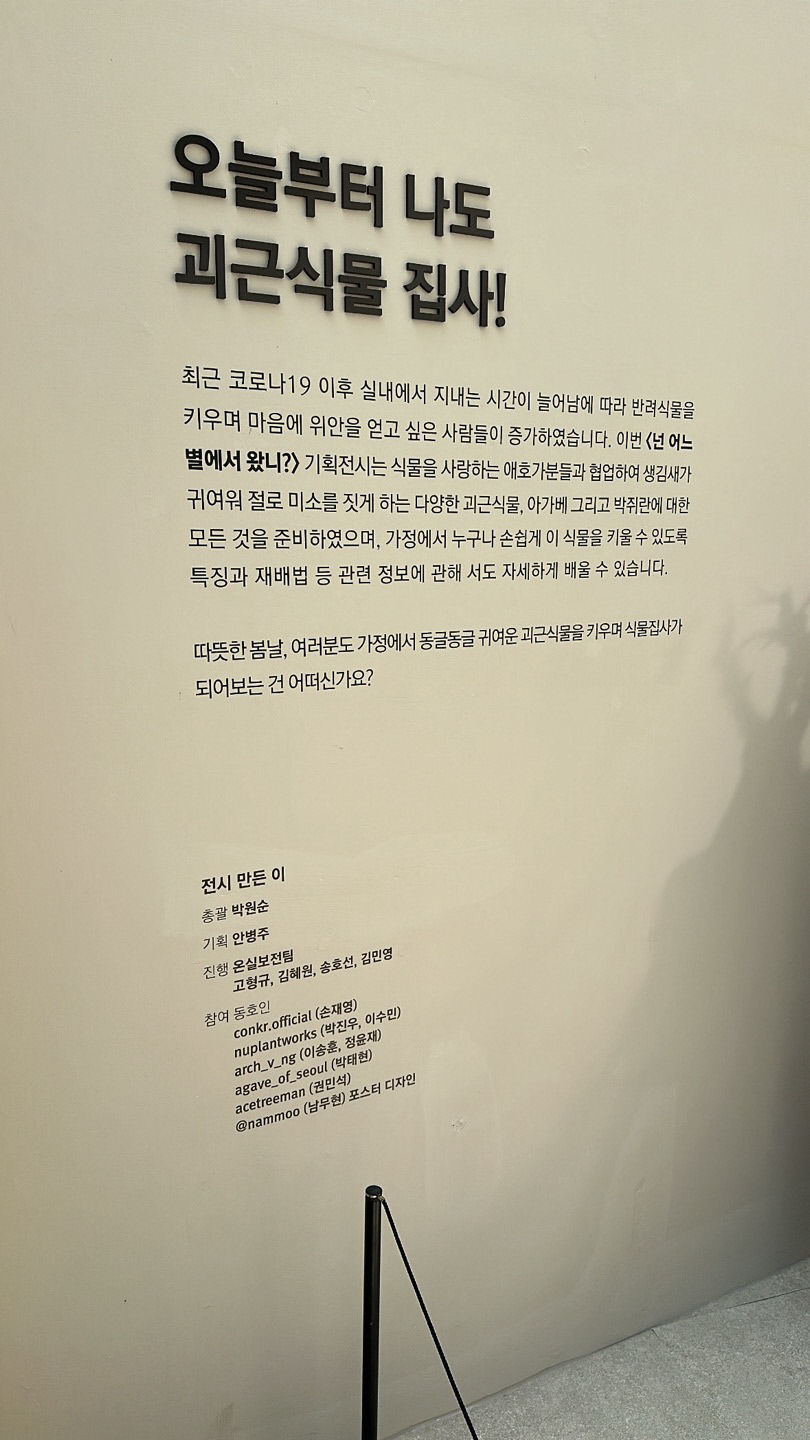 식집사들의 열광! 넌 어느 별에서 왔니? 아프리카 식물 전시 화제