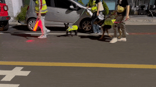 img_4686-ezgif_com-optimize.gif