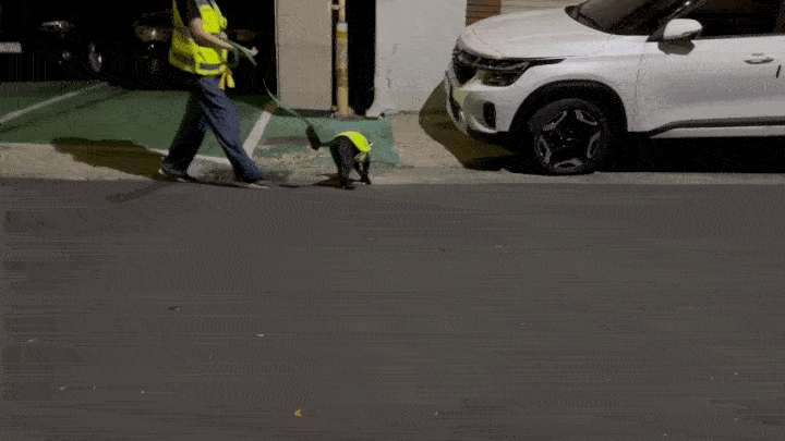 img_4685-ezgif_com-crop.gif