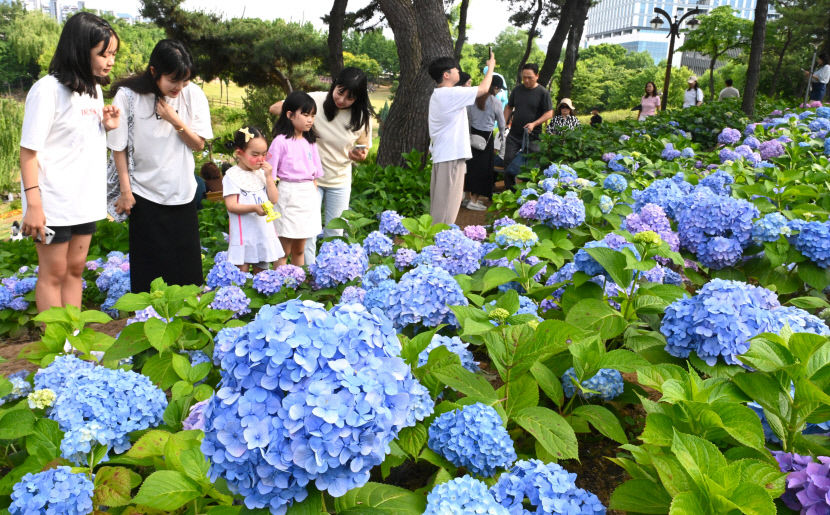 2024060701000226500009171