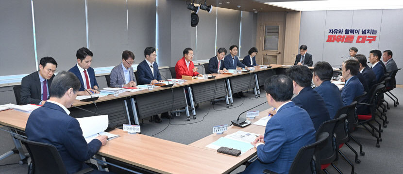 홍준표 TK 행정통합 속도전으로…경북 북부 소외 없어야