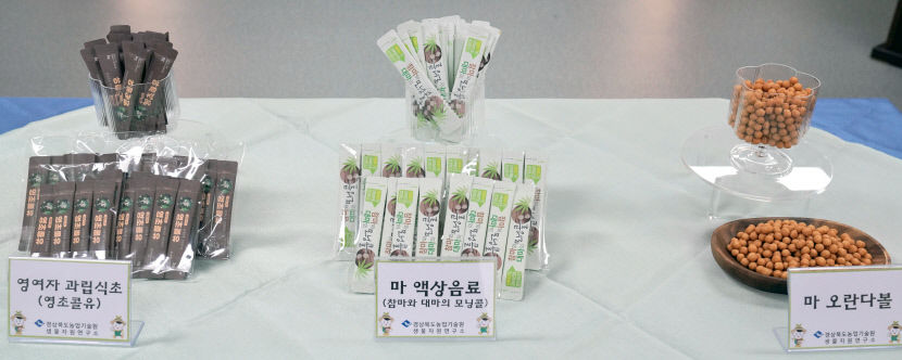 경북농업기술원, 안동 마(산약) 가공식품 개발…기업 3곳 기술 이전