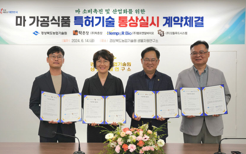 경북농업기술원, 안동 마(산약) 가공식품 개발…기업 3곳 기술 이전