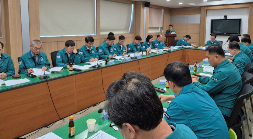 영천 돼지농가 아프리카돼지열병 확진