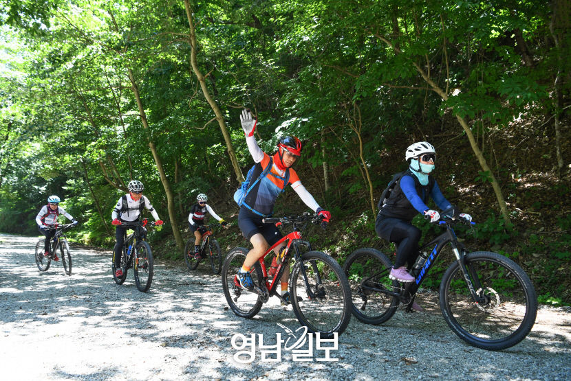 [별천지 영양의 숲과 마을 .1] 영양 죽파리 자작나무 숲