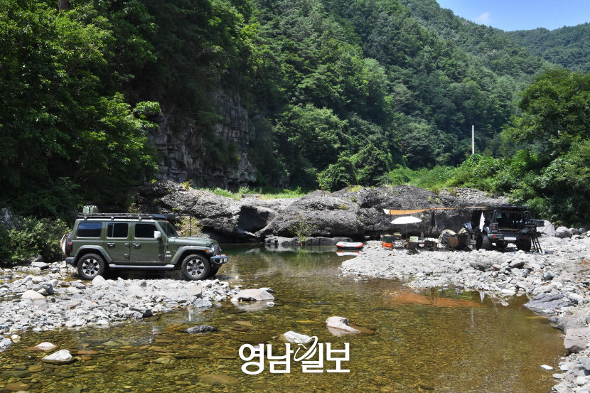 [별천지 영양의 숲과 마을 .1] 영양 죽파리 자작나무 숲