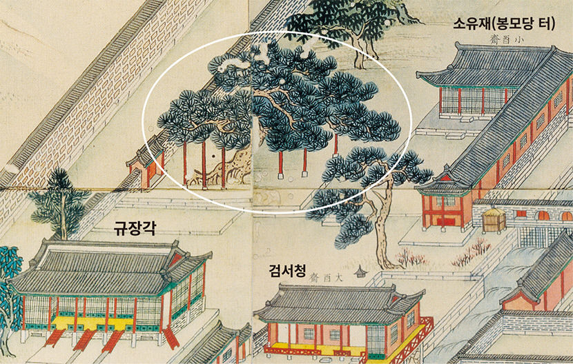 [신간] 궁궐의 고목나무, 조선 4대 궁궐 古木의 삶을 들여다보다
