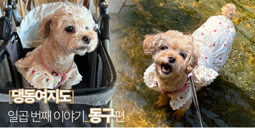 썸네일.png