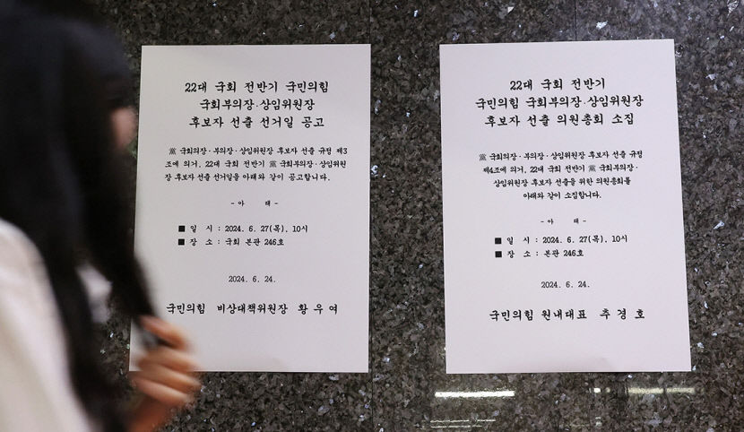 여당 몫 국회부의장, 27일 경선…주호영·박덕흠 양자 대결