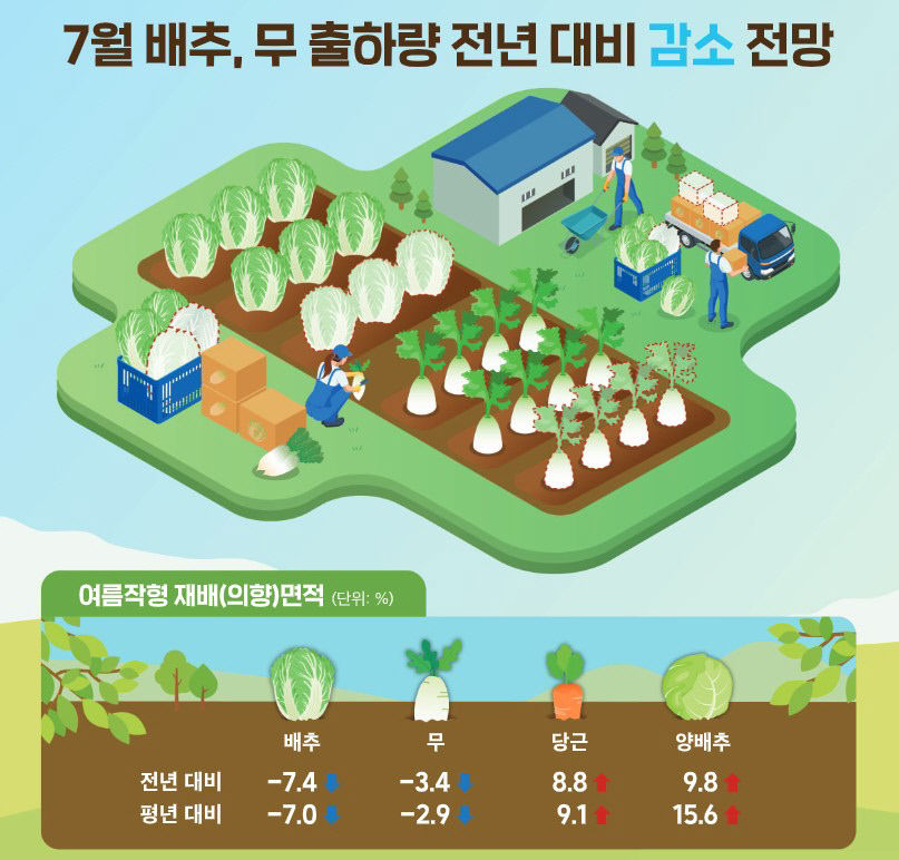 7월 농산물값, 배추·무·당근 오르고 참외·수박 저렴